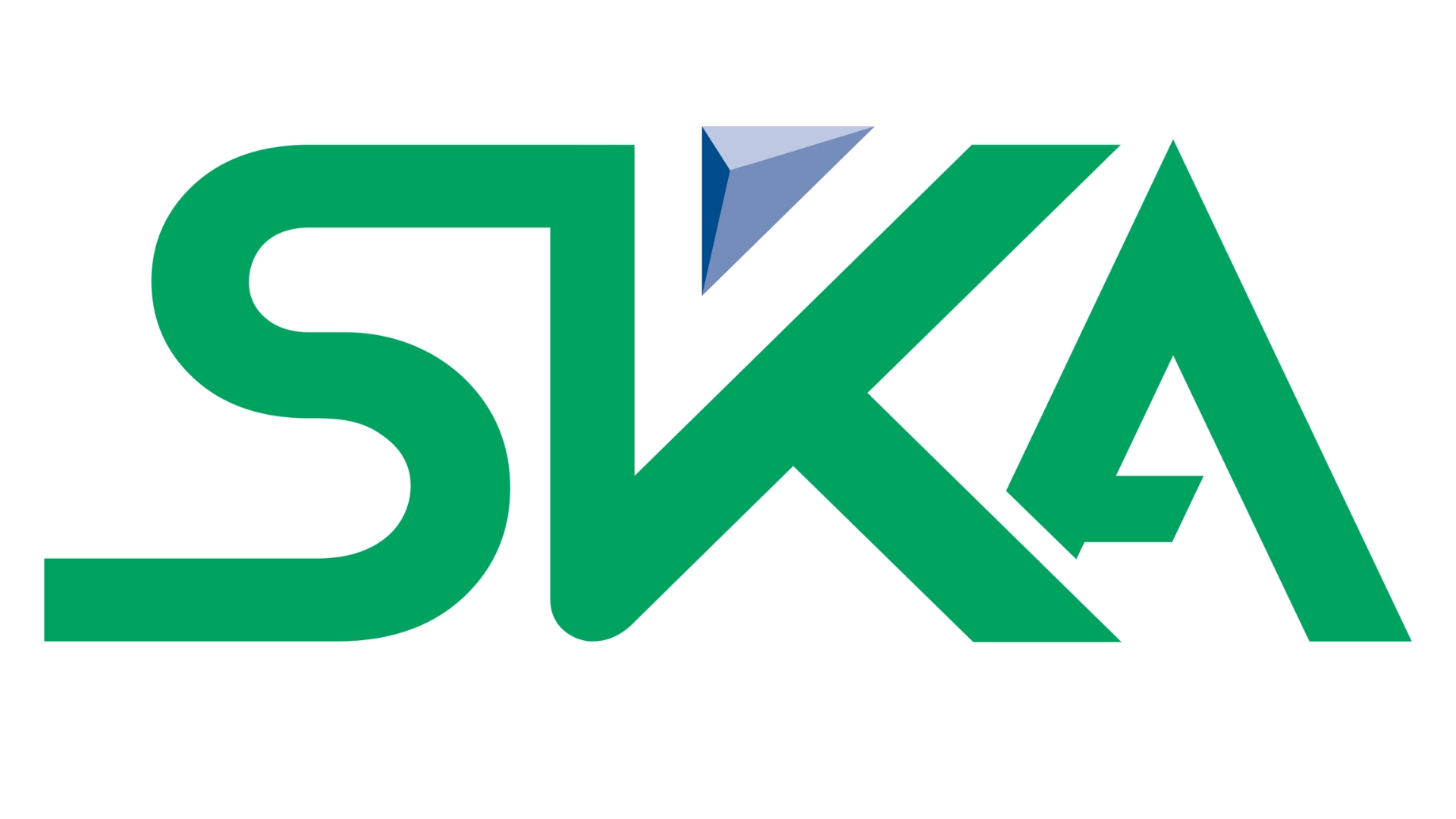 10 بدائل لمجموعة SKA الدولية الإماراتية في الصومال