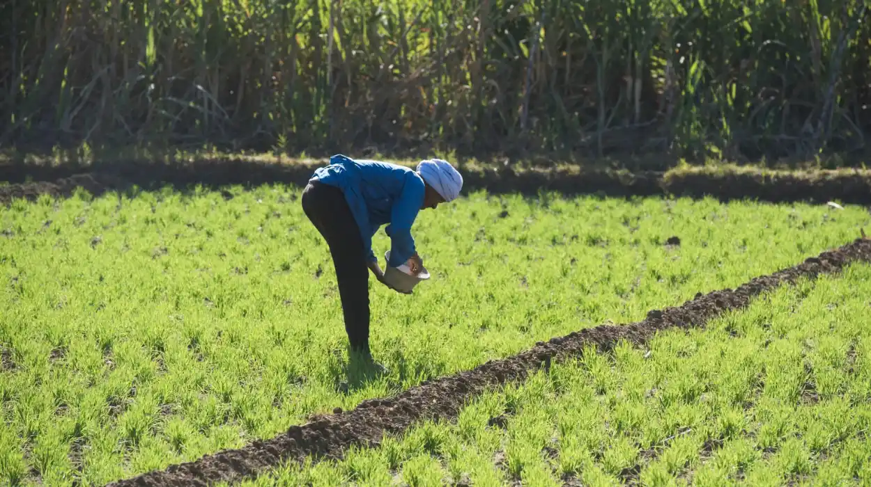 شركة القابضة الدولية تمتلك 41% في NRTC وتستحوذ على مزرعة